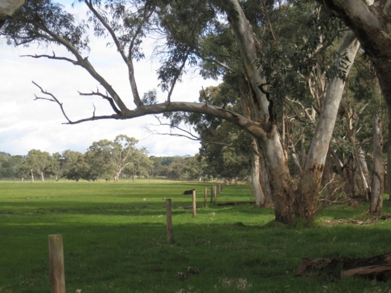 1237 Brookman Road, Hope Forest SA 5172