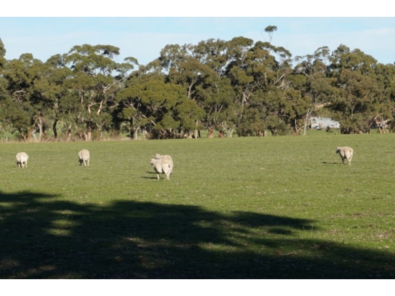 1237 Brookman Road, Hope Forest SA 5172