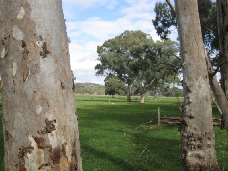 1237 Brookman Road, Hope Forest SA 5172