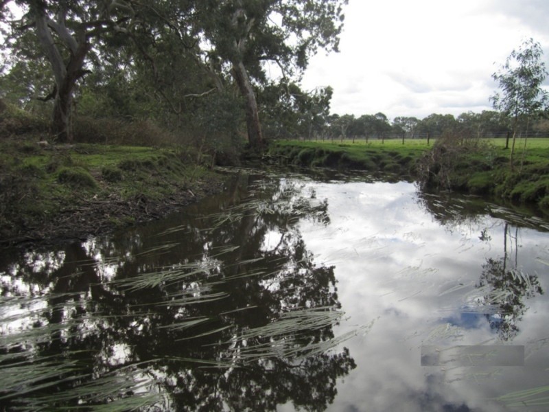 1237 Brookman Road, Hope Forest SA 5172