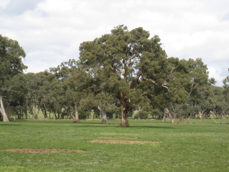 1237 Brookman Road, Hope Forest SA 5172