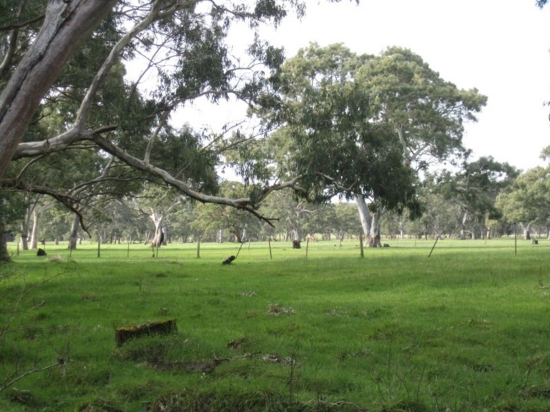 1237 Brookman Road, Hope Forest SA 5172