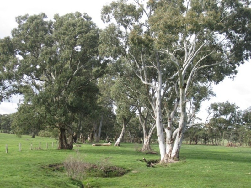 1237 Brookman Road, Hope Forest SA 5172