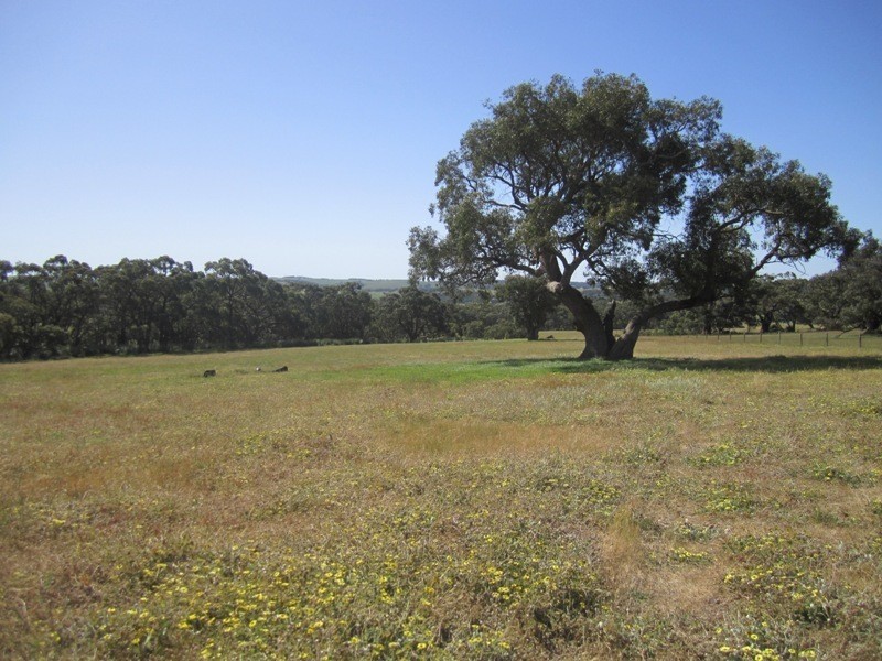 Lot 118 Lawless Lane, Myponga SA 5202