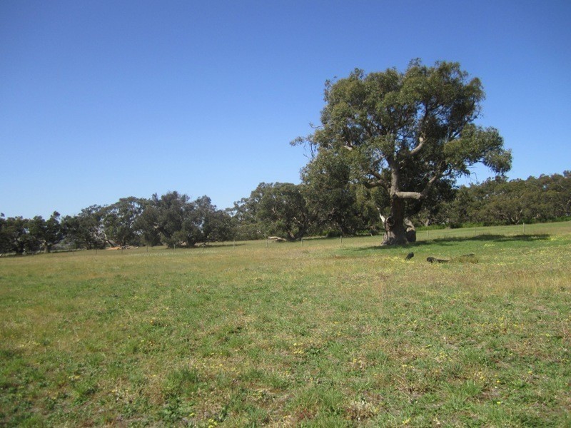 Lot 118 Lawless Lane, Myponga SA 5202