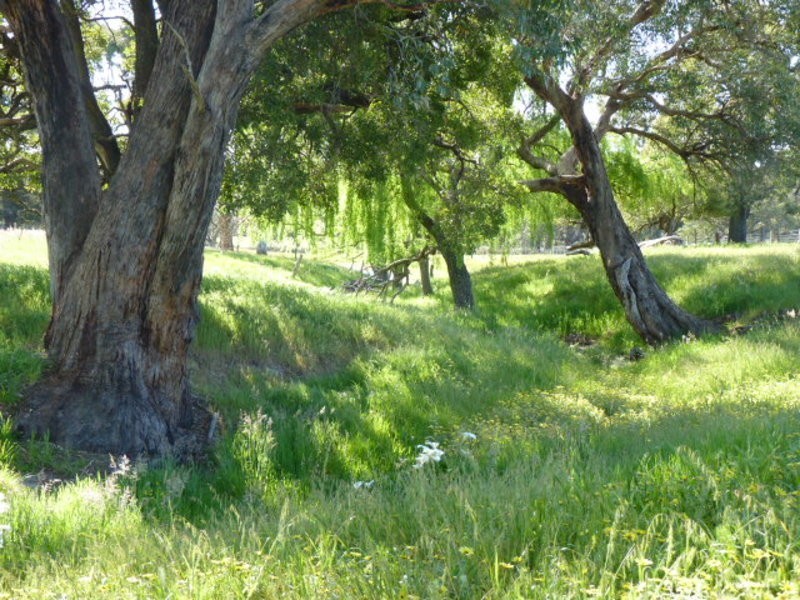 105 Dodd Road, Pages Flat SA 5172