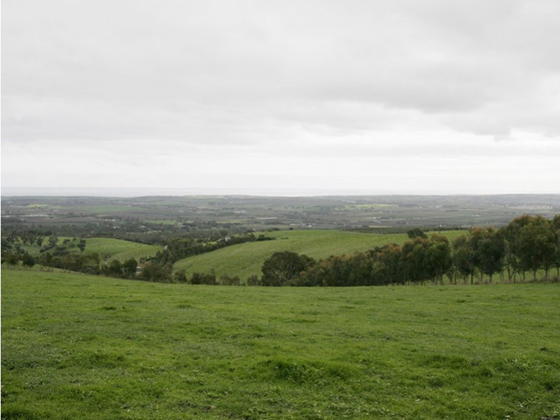 Lot/8 Taylors Hill Road, Willunga SA 5172