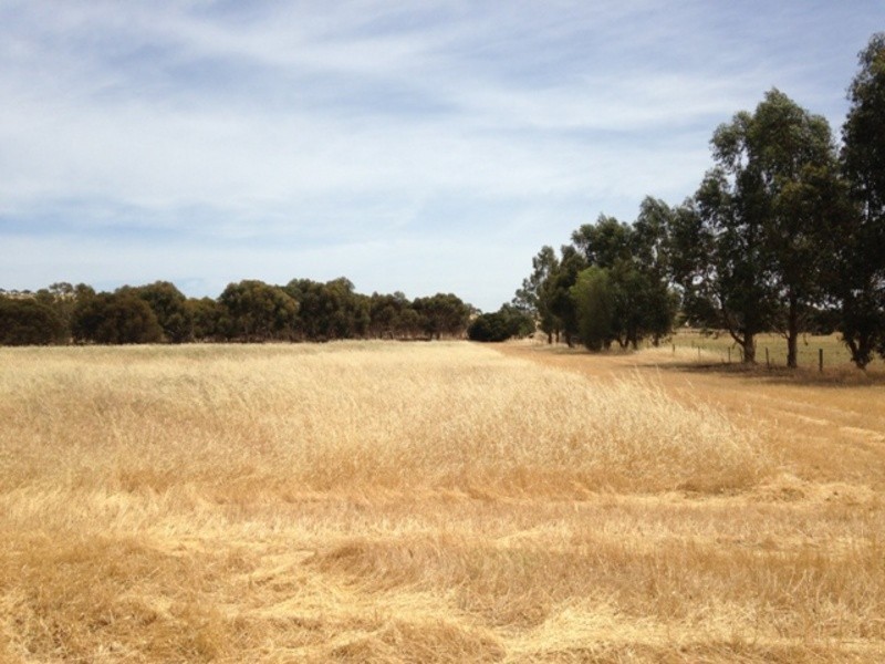 23-29 West Terrace, Callington SA 5254