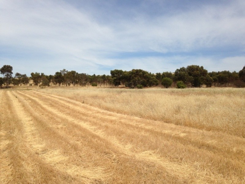 23-29 West Terrace, Callington SA 5254