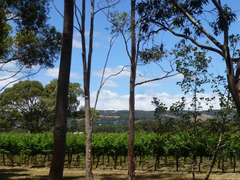 90 Little Road, Willunga SA 5172