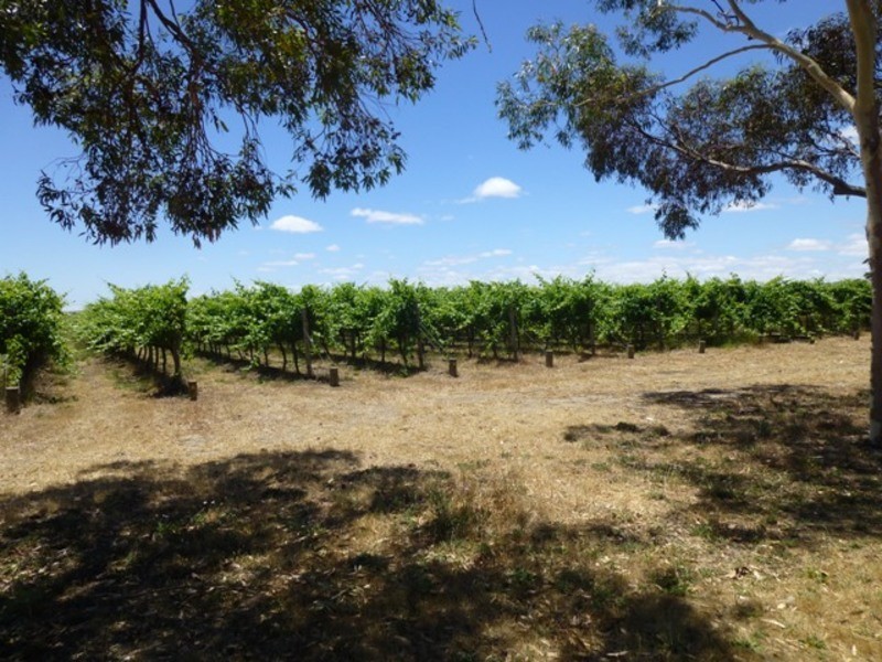 90 Little Road, Willunga SA 5172