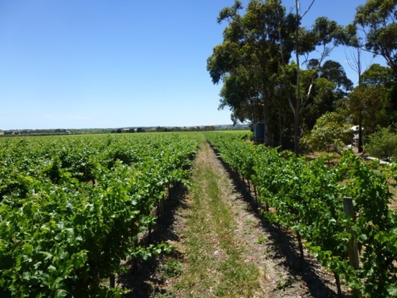 90 Little Road, Willunga SA 5172