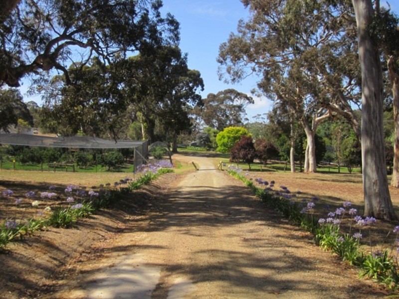 576 Mosquito Hill Road, Mount Compass SA 5210
