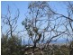 170 Range Road West, Willunga SA 5172