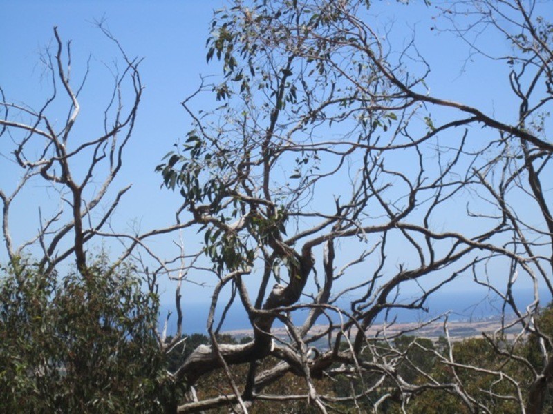 170 Range Road West, Willunga SA 5172