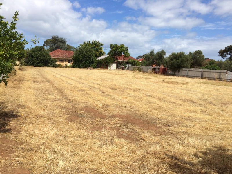 27a Finniss Street, Marion SA 5043