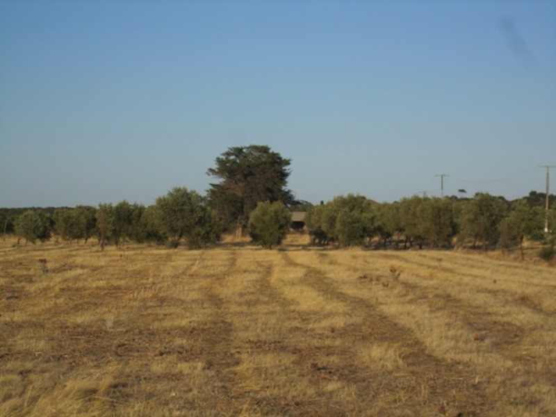 3588 Main South Road, Aldinga Beach SA 5173