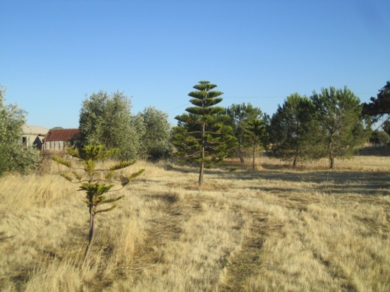 3588 Main South Road, Aldinga Beach SA 5173