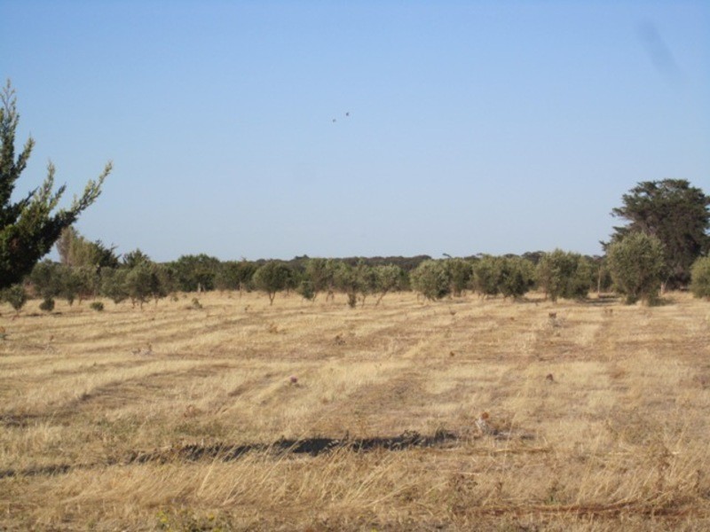 3588 Main South Road, Aldinga Beach SA 5173