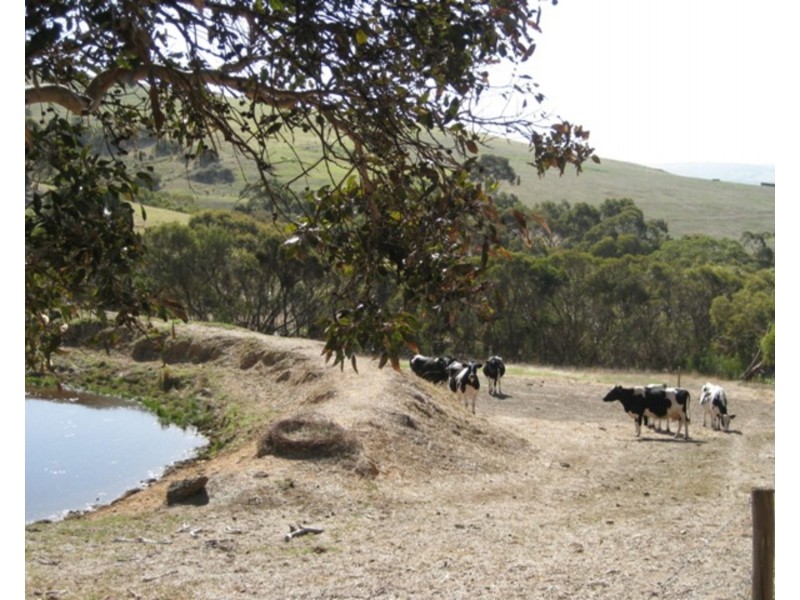 Lot/4 Cleland Gully Road, Tooperang SA 5255