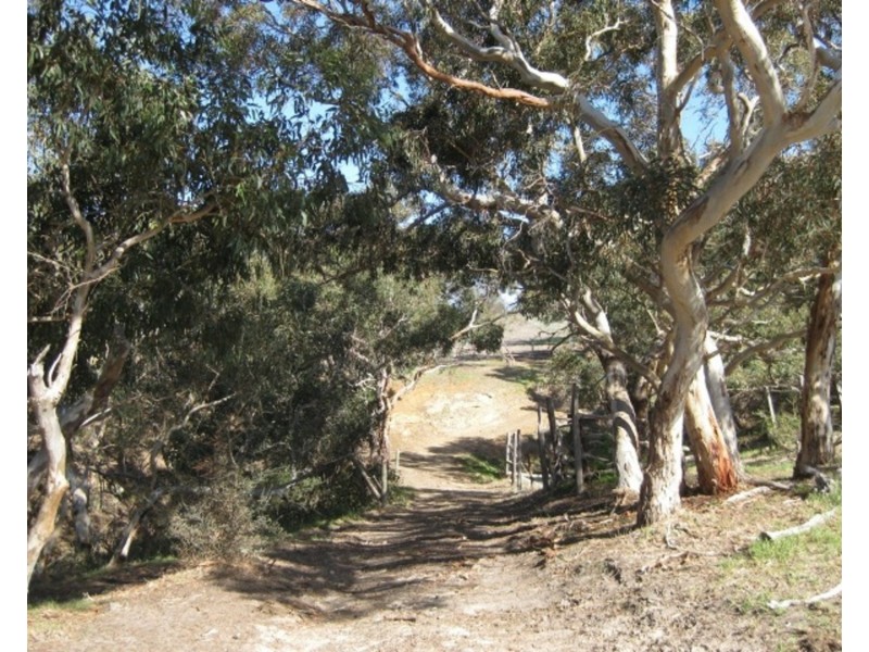 Lot/4 Cleland Gully Road, Tooperang SA 5255