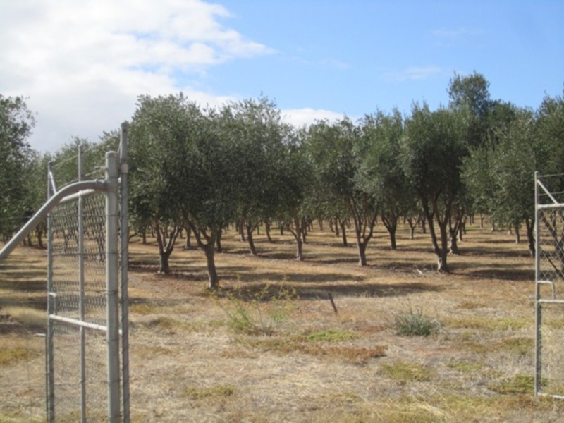 Lot/57 Main South Road, Sellicks Hill SA 5174