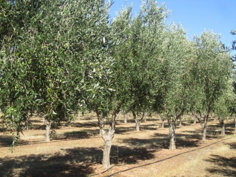 Lot/57 Main South Road, Sellicks Hill SA 5174