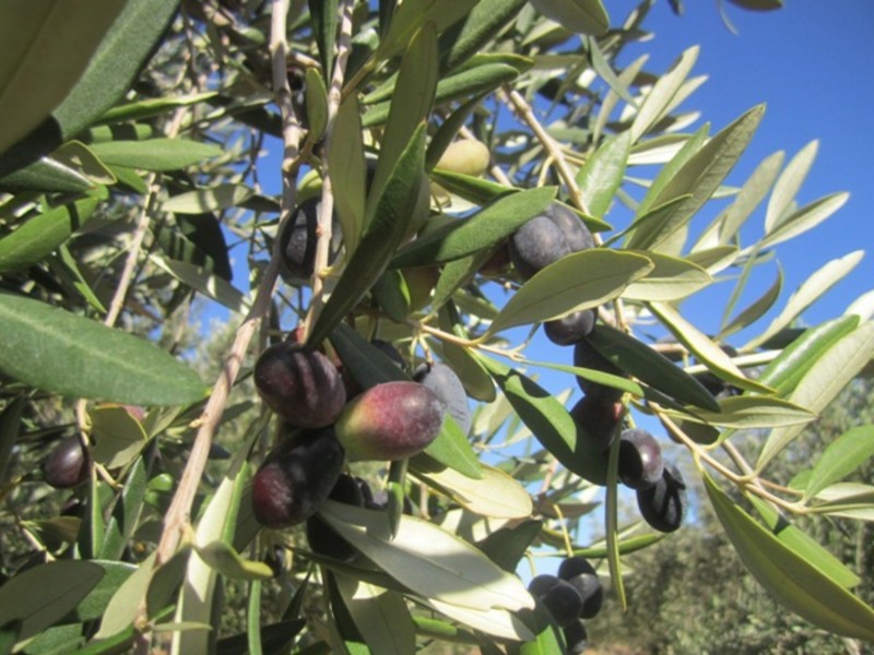 Lot/57 Main South Road, Sellicks Hill SA 5174