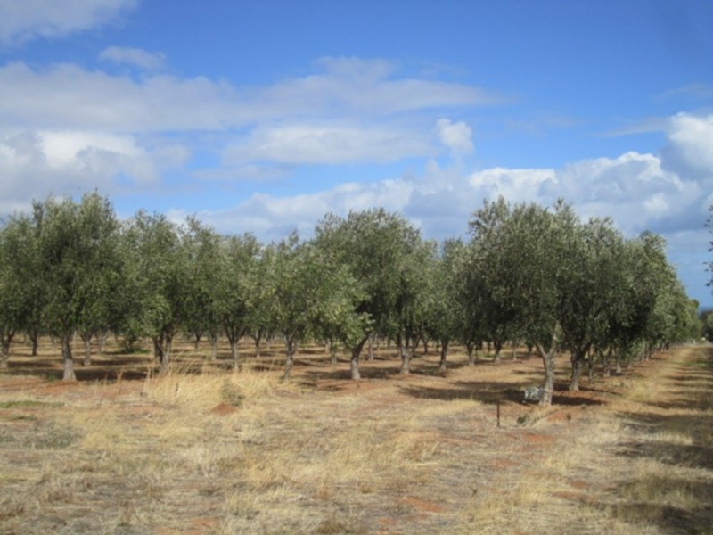 Lot/57 Main South Road, Sellicks Hill SA 5174