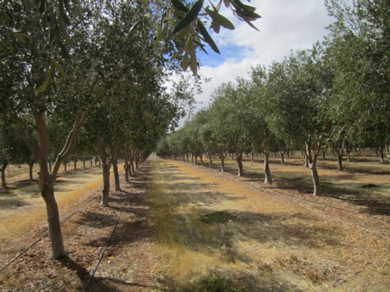 Lot/57 Main South Road, Sellicks Hill SA 5174