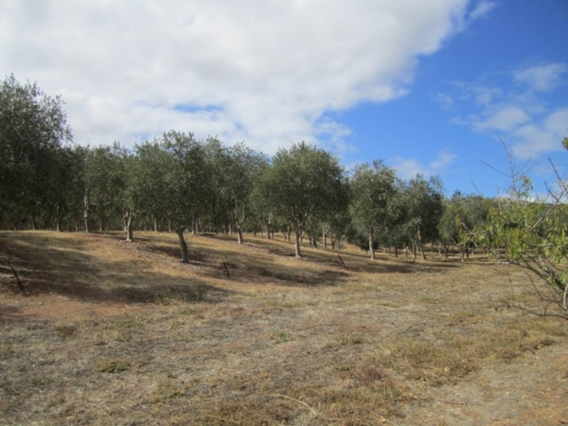 Lot/57 Main South Road, Sellicks Hill SA 5174