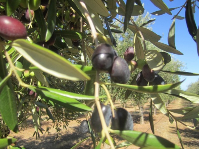 Lot/57 Main South Road, Sellicks Hill SA 5174