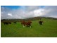 Lot 12 Enterprise Road, Yundi SA 5172