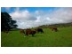 Lot 12 Enterprise Road, Yundi SA 5172