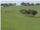 3030 Victor Harbor Road, Mount Jagged SA 5211