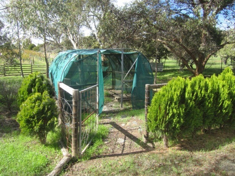 263 Ryan Road, Willunga SA 5172