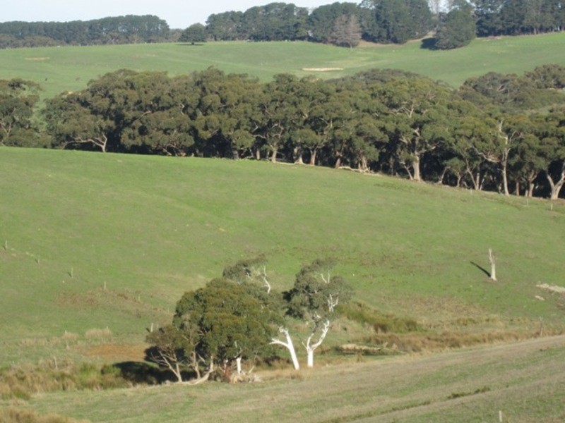 710  Springmount Road, Hindmarsh Tiers SA 5202