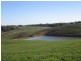 710  Springmount Road, Hindmarsh Tiers SA 5202