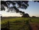 710  Springmount Road, Hindmarsh Tiers SA 5202