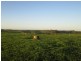 710  Springmount Road, Hindmarsh Tiers SA 5202