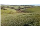 710  Springmount Road, Hindmarsh Tiers SA 5202
