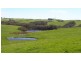 710  Springmount Road, Hindmarsh Tiers SA 5202