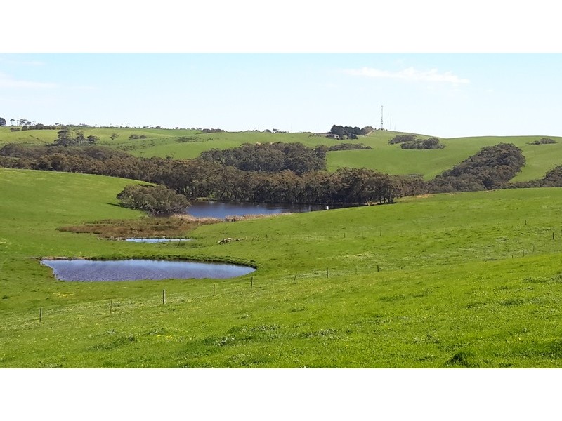 710  Springmount Road, Hindmarsh Tiers SA 5202