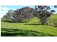 710  Springmount Road, Hindmarsh Tiers SA 5202