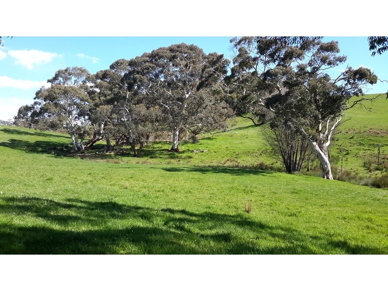 710  Springmount Road, Hindmarsh Tiers SA 5202