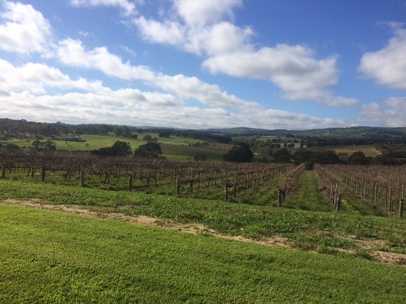 401 Blewitt Springs Road, Blewitt Springs SA 5171