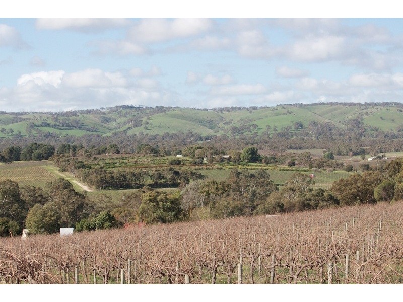 401 Blewitt Springs Road, Blewitt Springs SA 5171