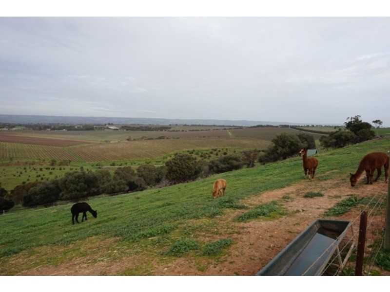 91 Hagley Road, Mclaren Vale SA 5171