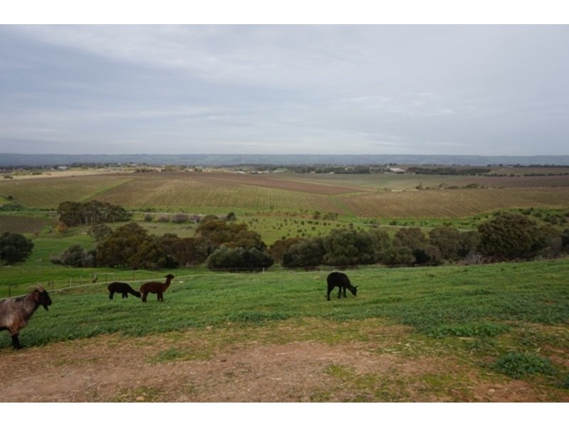 91 Hagley Road, Mclaren Vale SA 5171