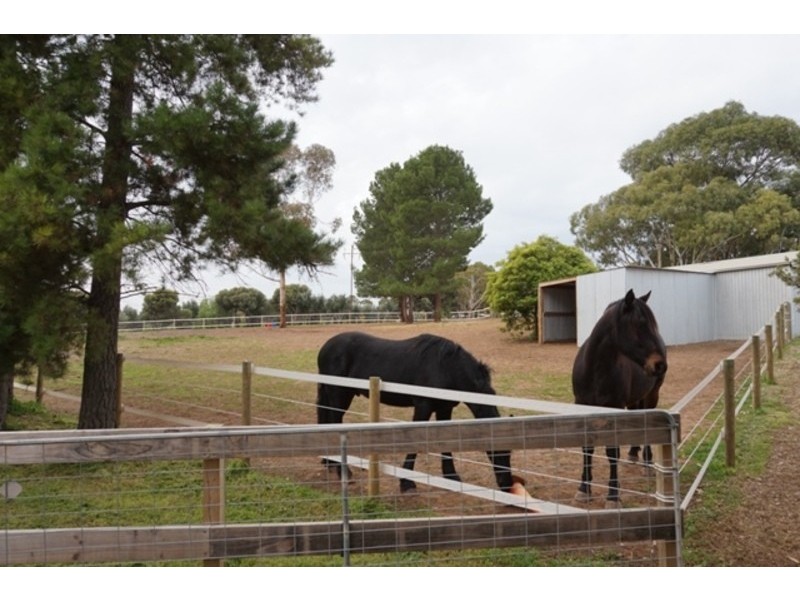 91 Hagley Road, Mclaren Vale SA 5171